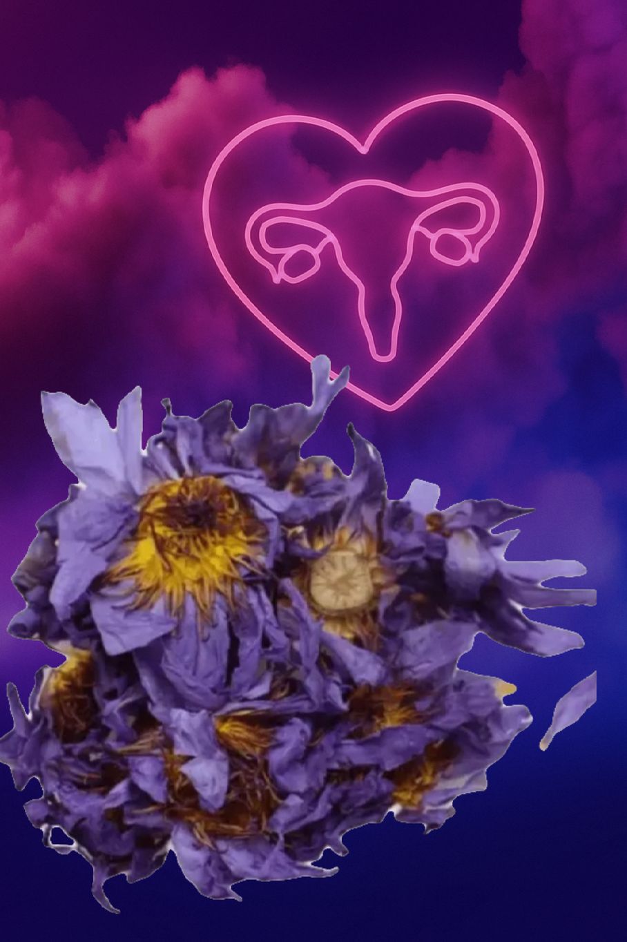 Blue Lotus Boost – Extra 2 Whole Flowers (Add-On)