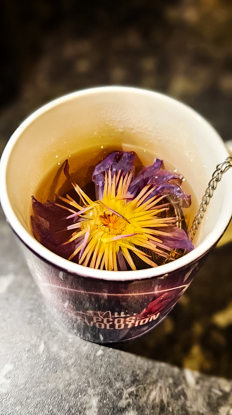 HORMONECODE™ Reset Tea for PCOS | Boost Periods, Ovulation, Fertility & Libido