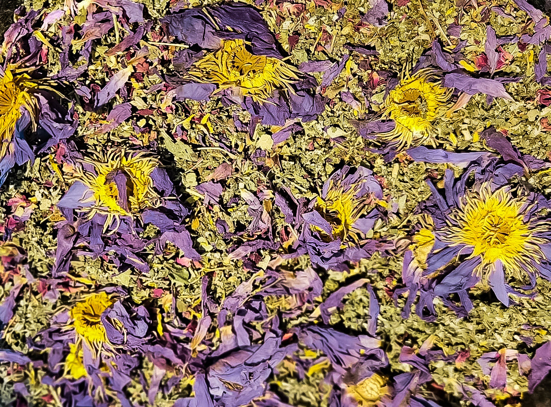 HORMONECODE™ Reset Tea for PCOS | Boost Periods, Ovulation, Fertility & Libido